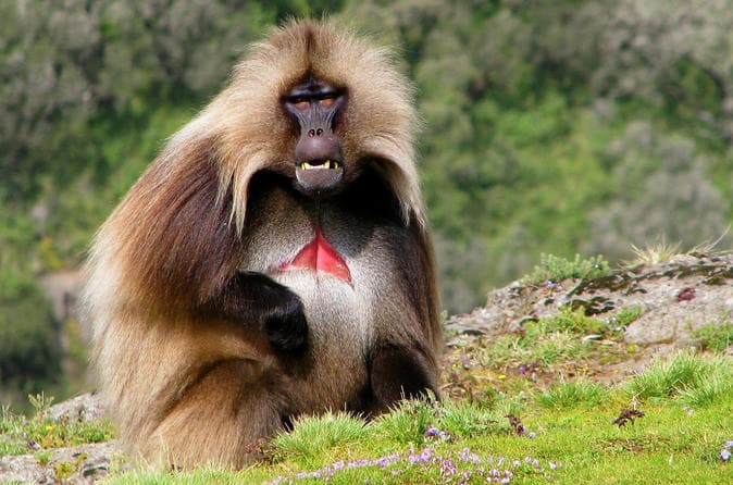 Interior of a building with columns and flags