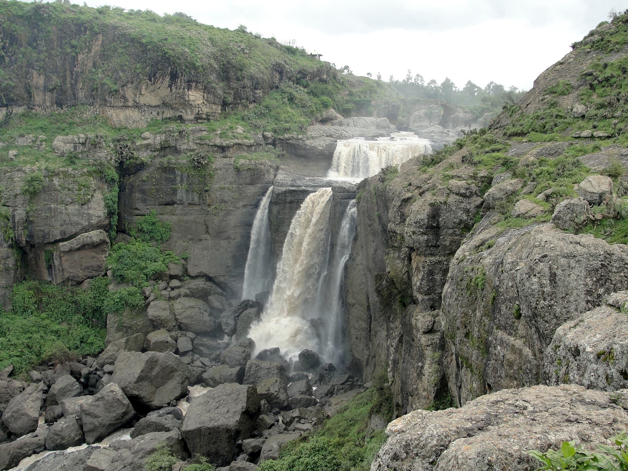 Day Trip to Debrelibanos Monastery and the Portuguese Bridge