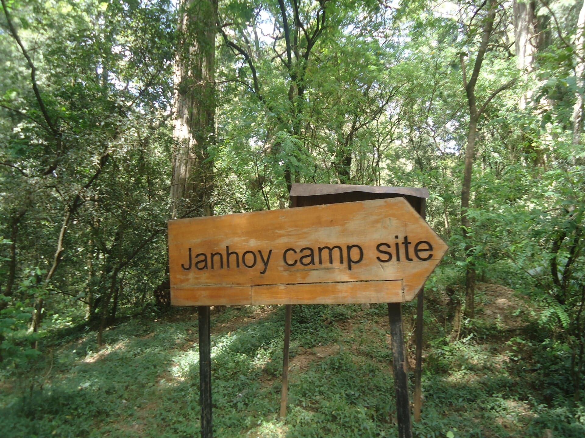 Interior of a building with columns and flags