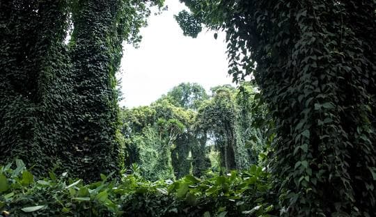 EXCURSION TO ENTEBBE CITY