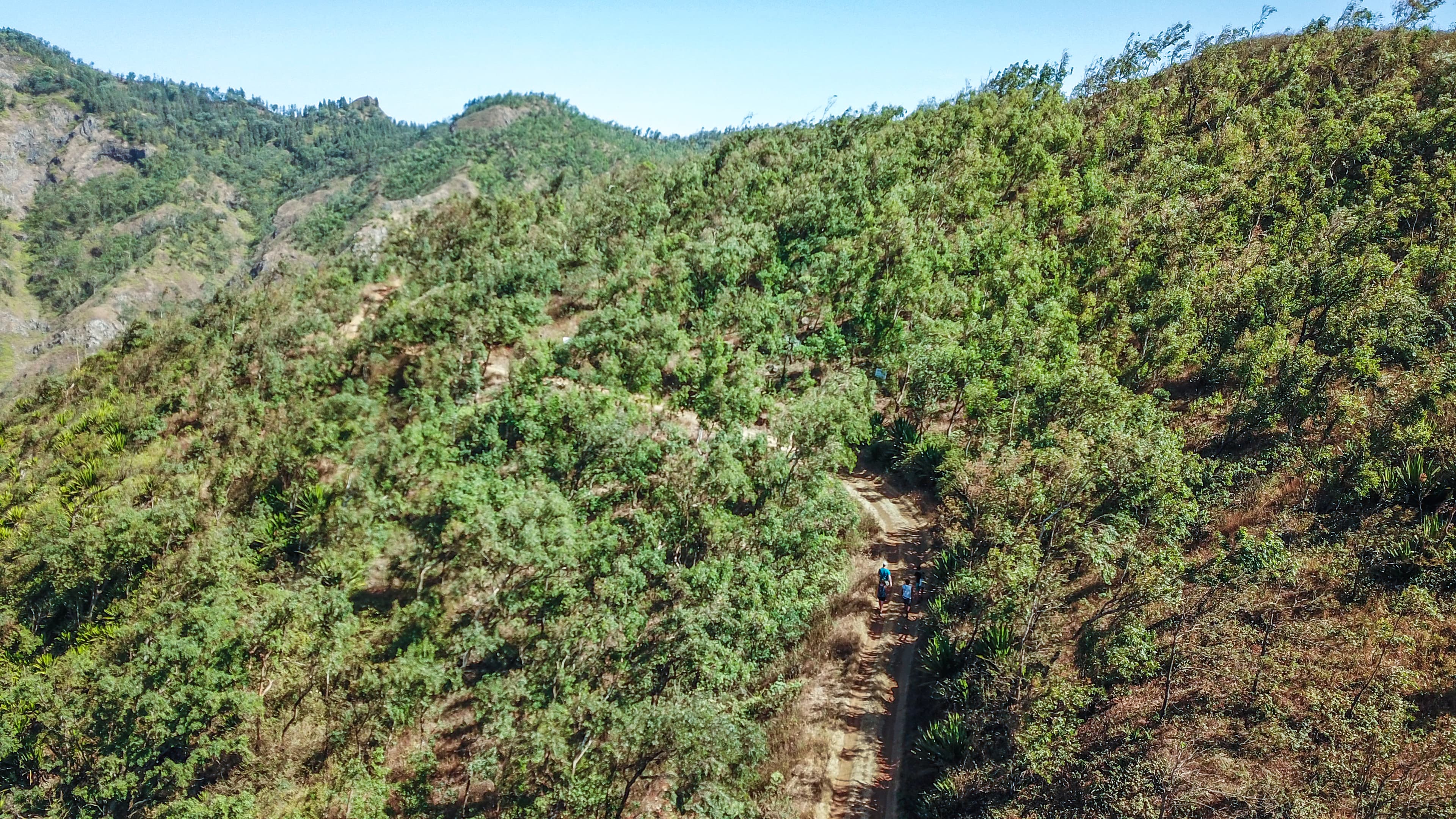 Interior of a building with columns and flags