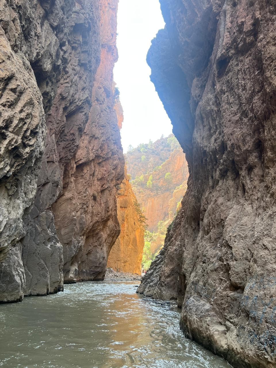 Ia Cathédrale -D'imsfran