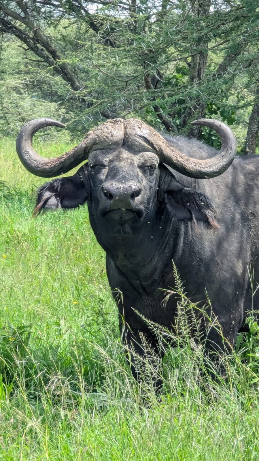 Interior of a building with columns and flags