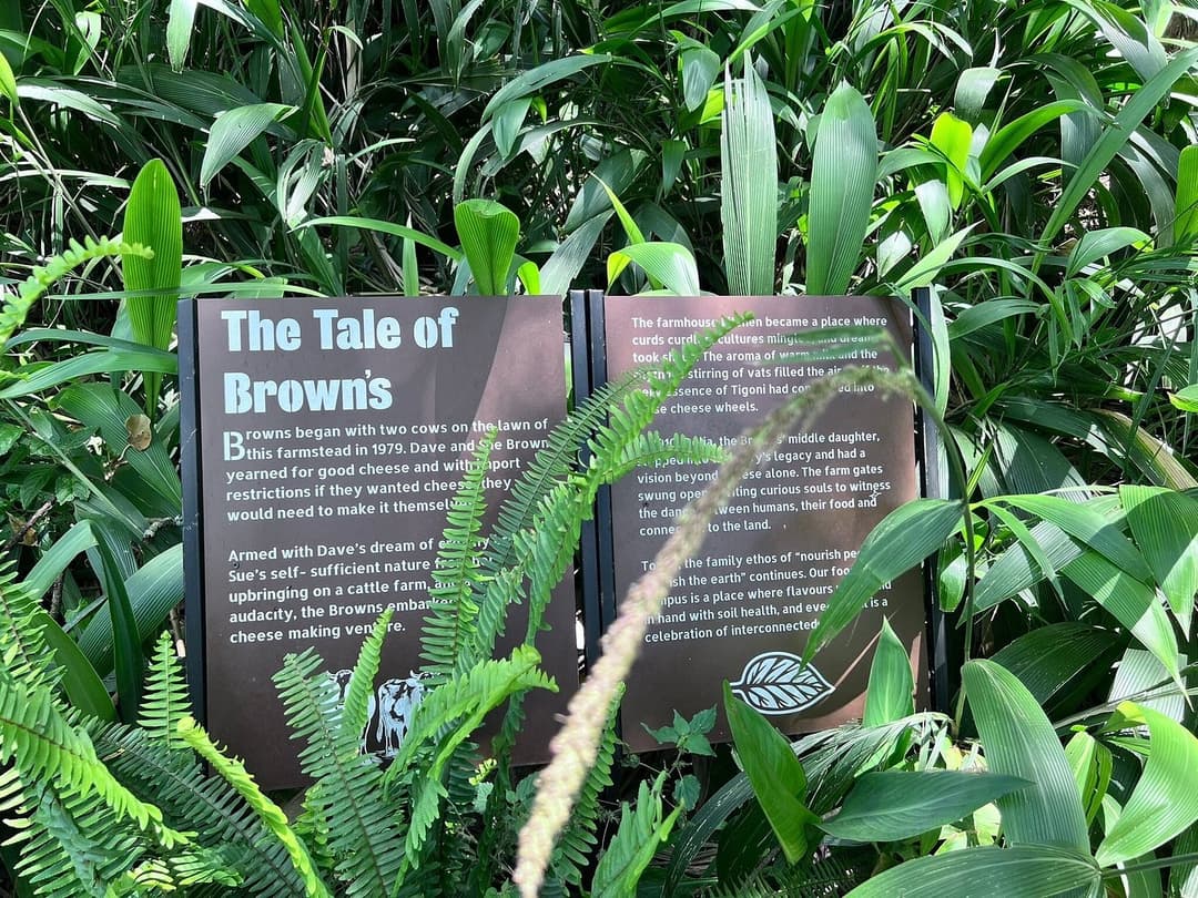 Brown's Cheese Factory & Farm