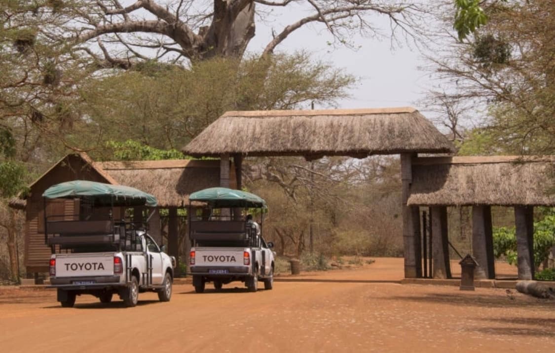 Excursion Safari à la Réserve de Bandia – Escale Nature & Aventure à Dakar