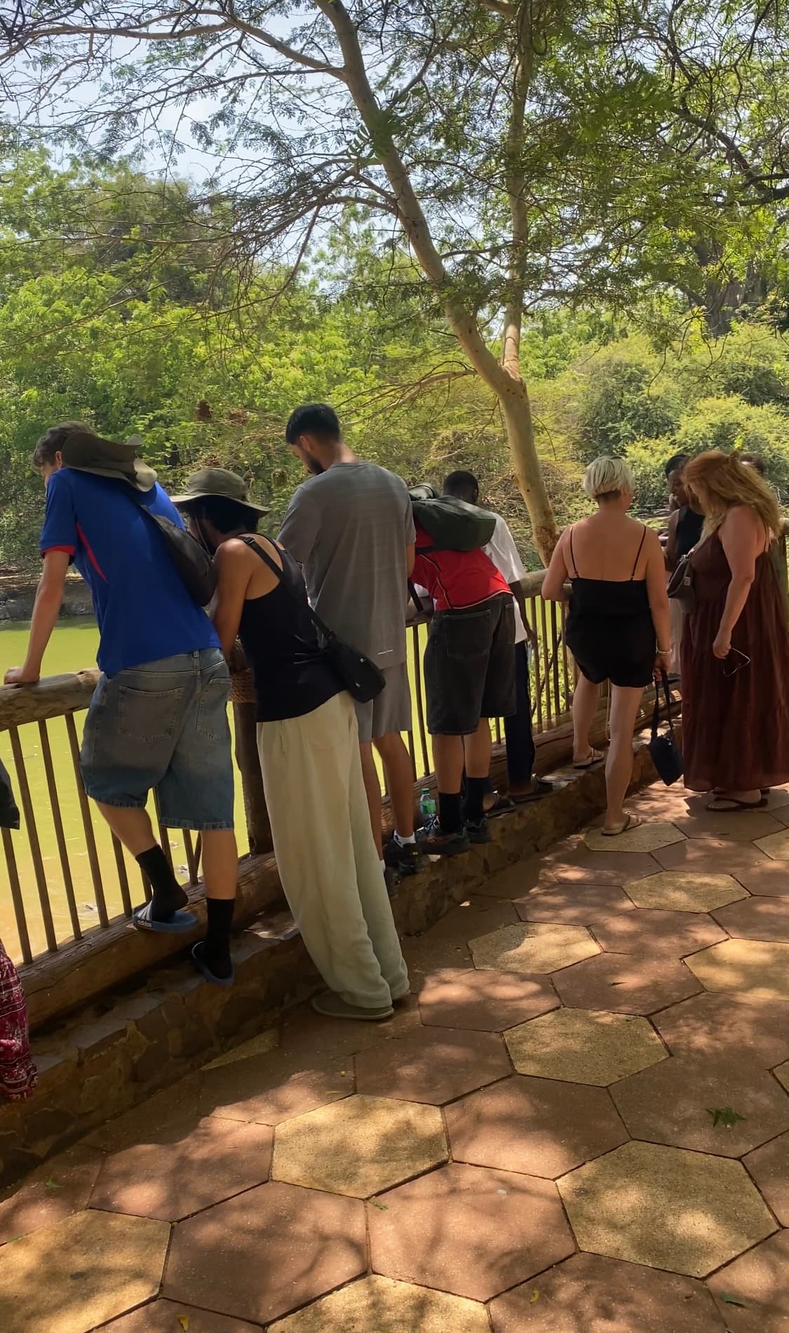 Excursion Safari D’une Demi-journée à la Réserve de Bandia – Escale Nature & Aventure à Dakar