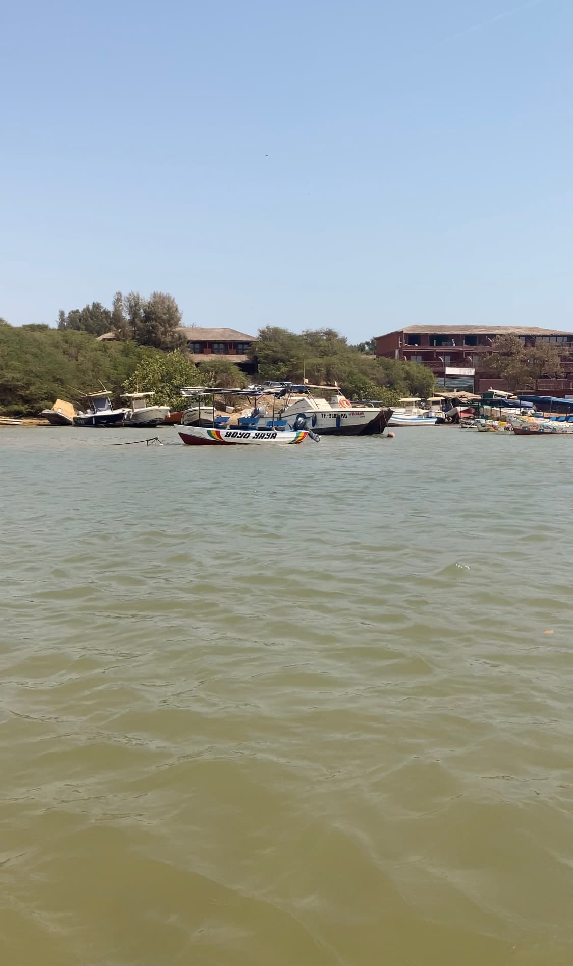 Excursion d’une journée à la Lagune de Somone