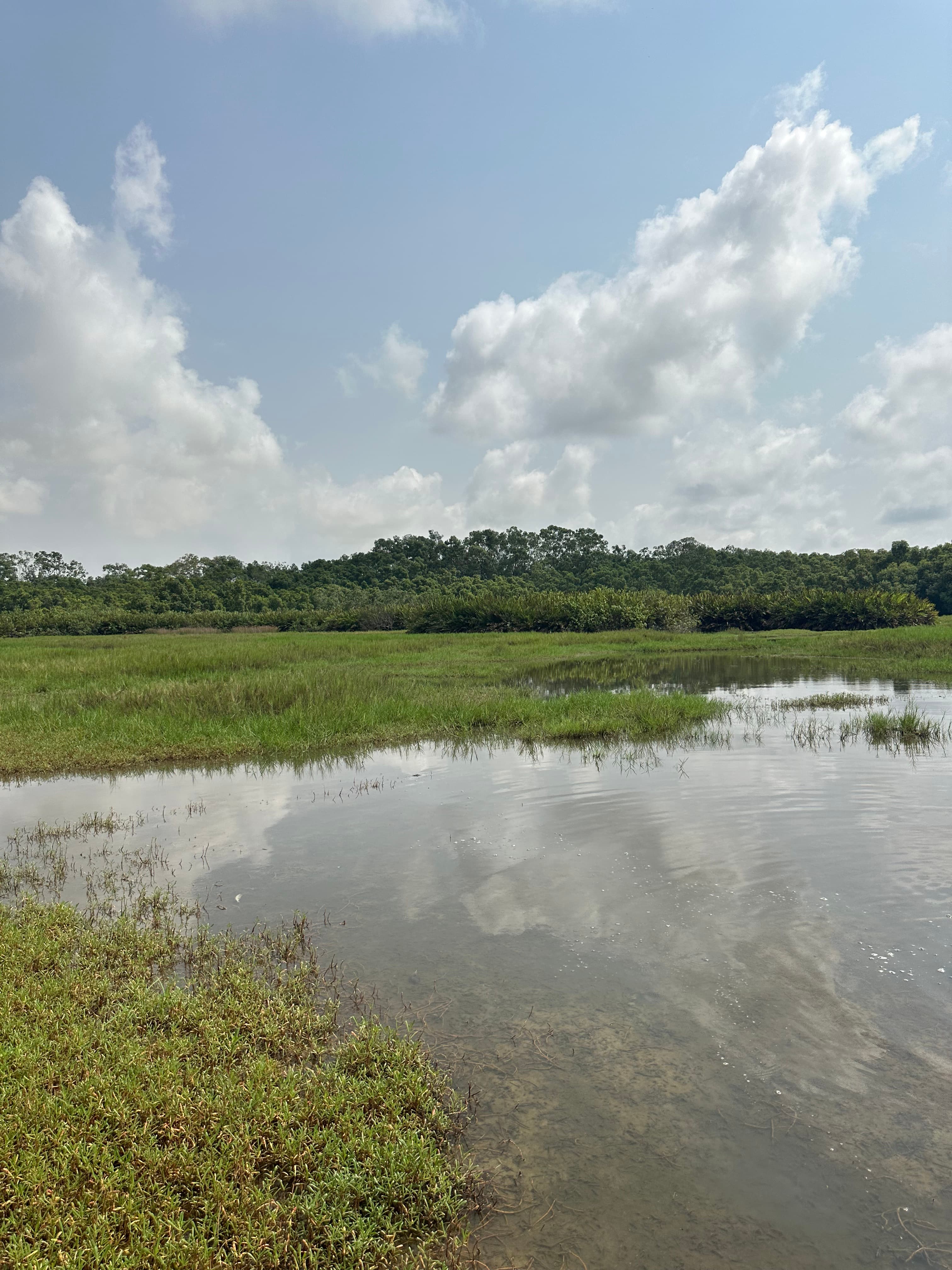 Visite des îles ehotilé à Assinie