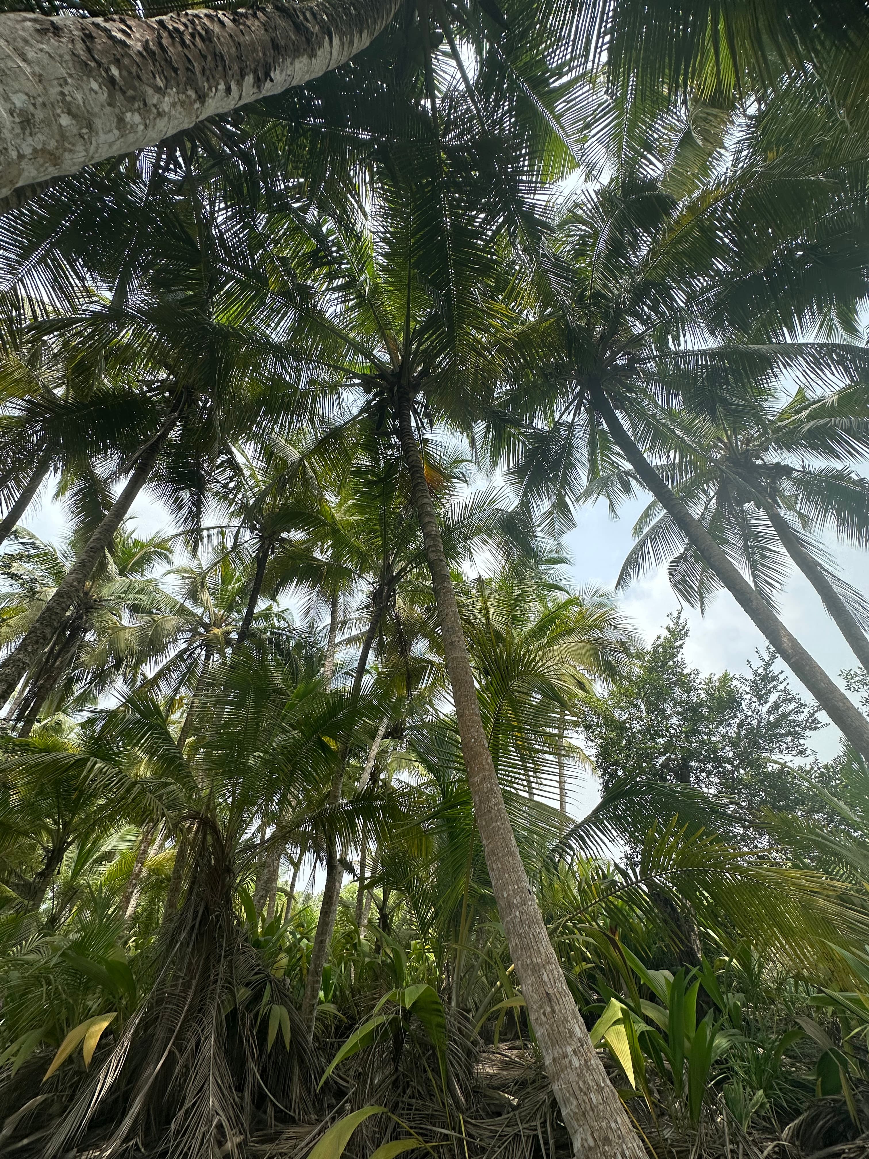 Interior of a building with columns and flags
